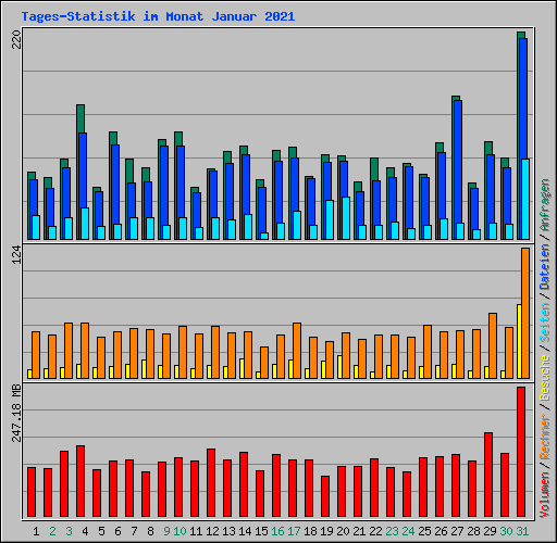Tages-Statistik im Monat Januar 2021