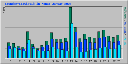 Stunden-Statistik im Monat Januar 2025