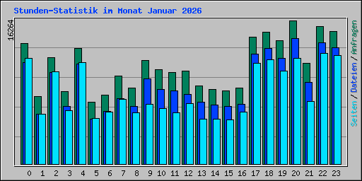 Stunden-Statistik im Monat Januar 2026