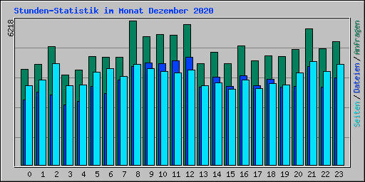 Stunden-Statistik im Monat Dezember 2020