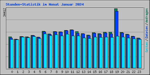 Stunden-Statistik im Monat Januar 2024