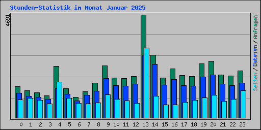 Stunden-Statistik im Monat Januar 2025